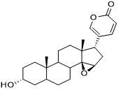 Cinobufagin-3-succinyl arginine ester